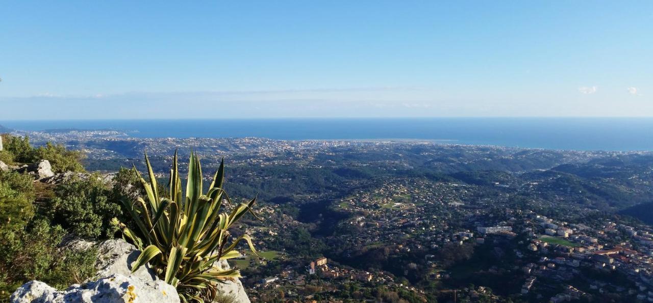 La Bastide Des Pins Vence Exterior foto